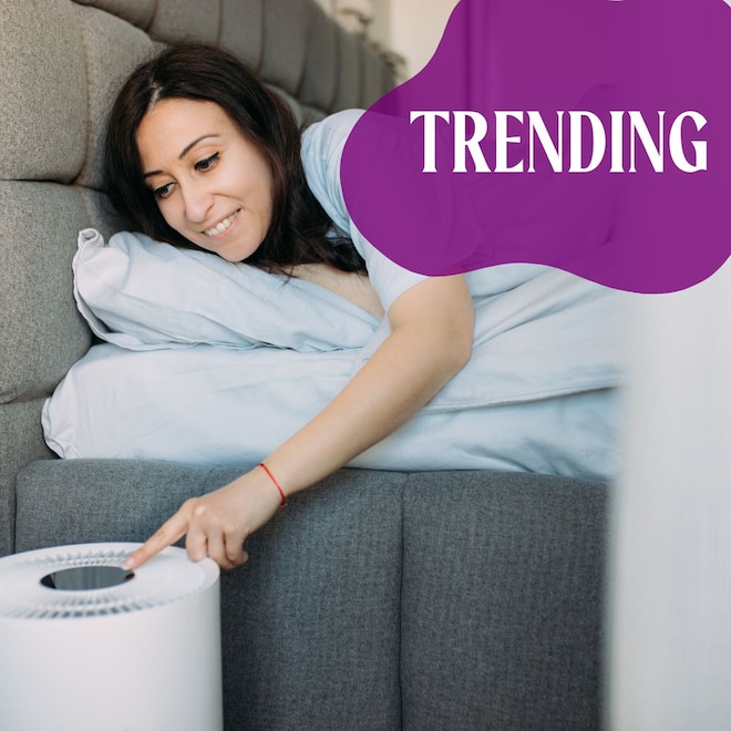 SHOP The Best Air Purifiers for Spring and Summer Allergies thumb nail